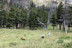 IMG_6040photo