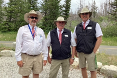 19