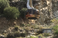 IMG_1264