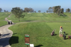 TorreyPines