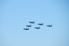 Blue-Angels