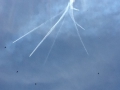 BlueAngles2