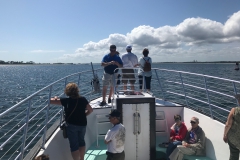 Dolphin Cruise