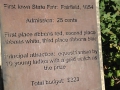 photo (2)