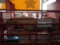 photo (5)