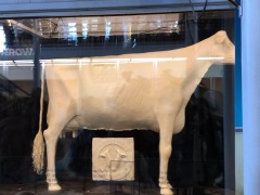Iowa State Fair 2019