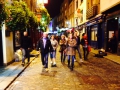photo 1 (28)
