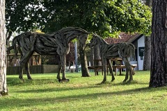 IMG-3865