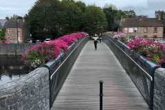 IMG-3978