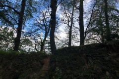 IMG-4015
