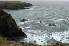 IMG-4077