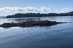 IMG-4140