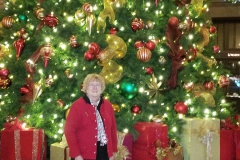 Kansas City Christmas Claire 2