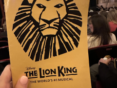 Lion King at the Orpheum 2024