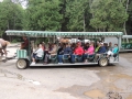 Carriage Ride 1