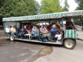 Carriage Ride 2