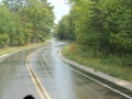 Road laid around trees