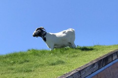 IMG_0047