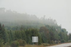DSCN6181