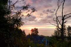 Resized_20230906_070705
