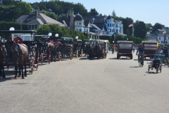 20250719_112441_6FB1DF