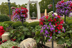 20250720_072023_6B3144