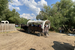 IMG_6134