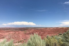 IMG_9830