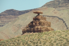 DSCN4252