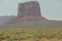 DSCN5971