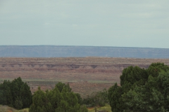 DSCN5977