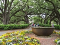 Oak Alley Plantation (2)