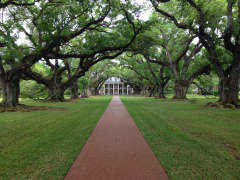 Natchez and the Deep South 2016