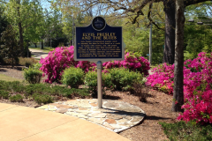 Elvis Birthplace and Flowers