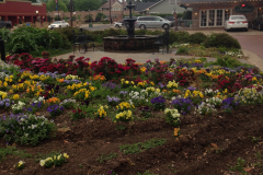 Flower Garden Downtown Natchitoches