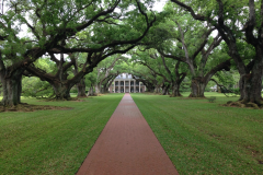 Oak Alley Plantation 2