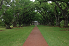Oak Alley Plantation 3