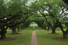 Oak Alley Plantation 4
