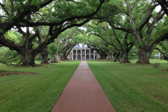 Oak Alley Plantation