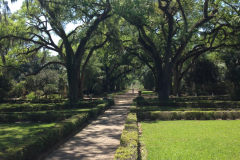 Rosedown Plantation