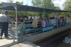 Torres Swamp Tour