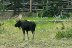 Resized_20230910_105053