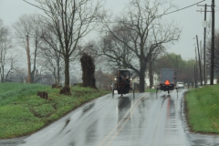 Amish Buggy's