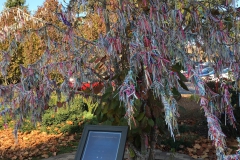 Cancer Survivor Tree