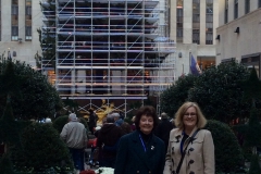 NYC Tree