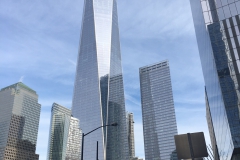 IMG_1420