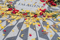 20251115_090008_148322