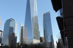 DSCN7973