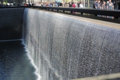 DSCN7979