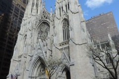 DSCN8146